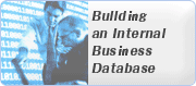 Building an Internal Business Database